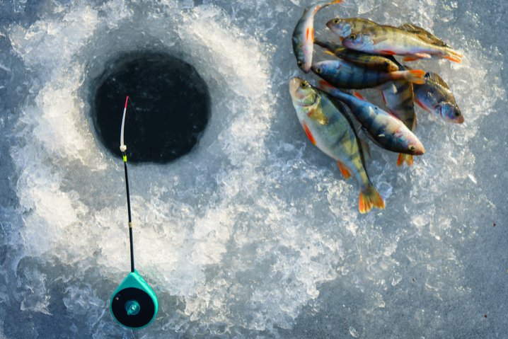 United Kigdom - ice fishing gambling game