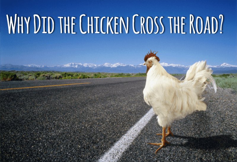 Jugar chicken road, juego chicken road Jugar chicken road, juego chicken road