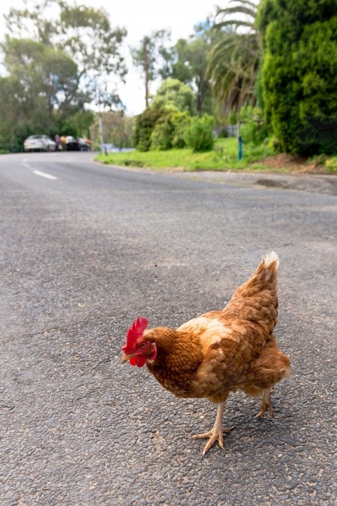 De Magische Kruisreis van Chicken Road: Speel Nu Online Bij Nederlandse Casinos, chicken road game
