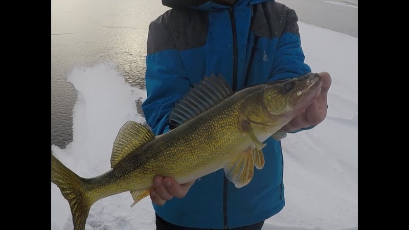 UK Gamblers Reel in Big Wins with Ice Fishing Live Casino Games UK Gamblers Reel in Big Wins with Ice Fishing Live Casino Games